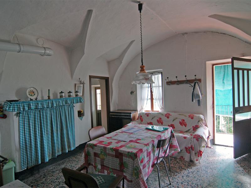 /api/file/public/238051/13226