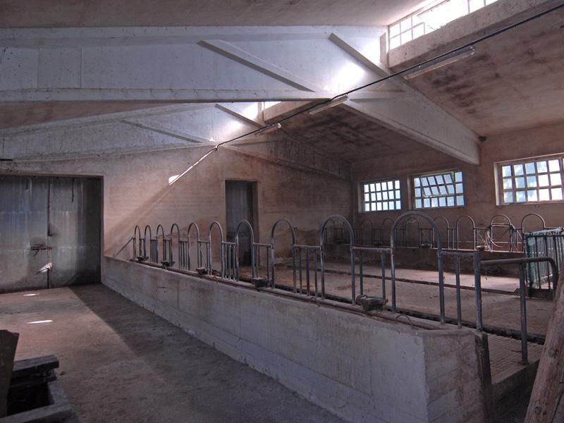 /api/file/public/238051/13241