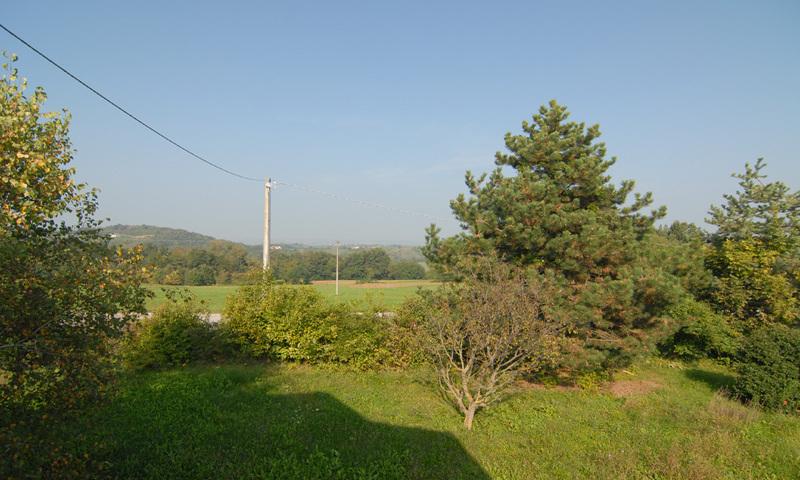 /api/file/public/238051/8538