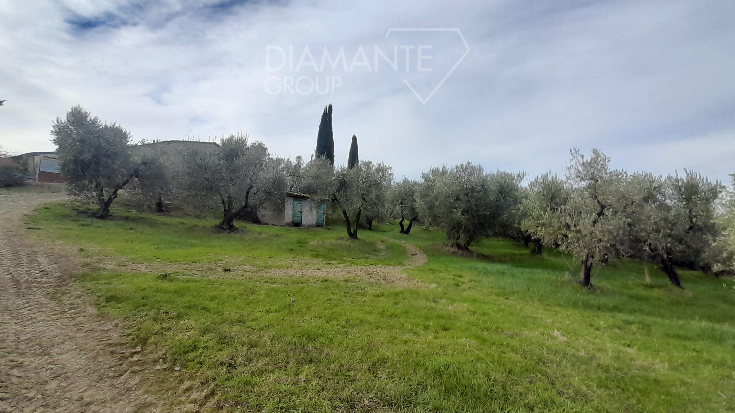 /api/file/public/250451/20943