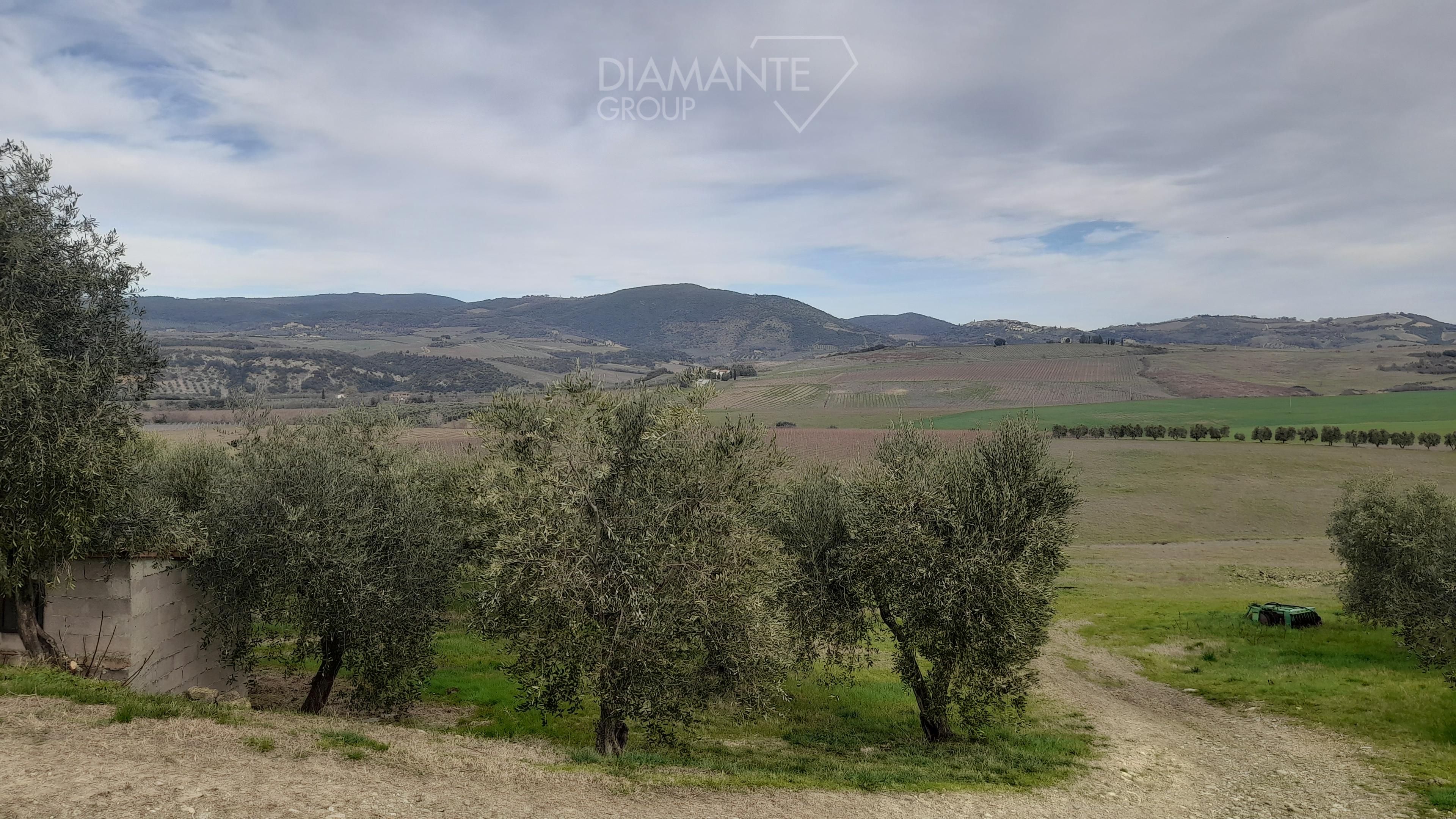 /api/file/public/250451/20944