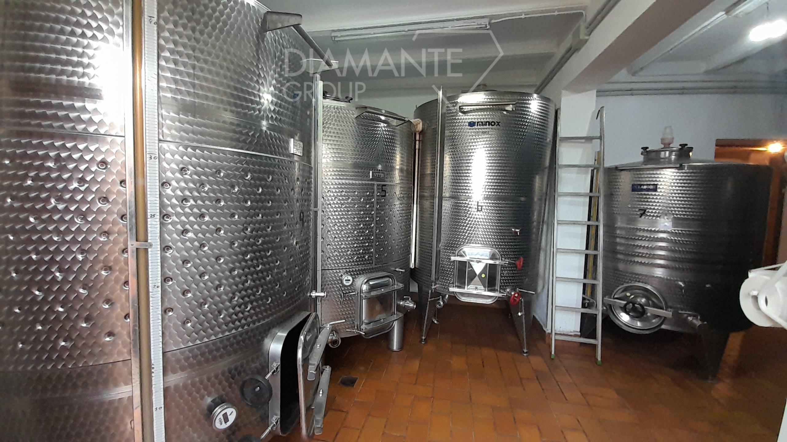 /api/file/public/250451/20945