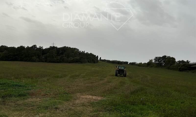 /api/file/public/250501/9040