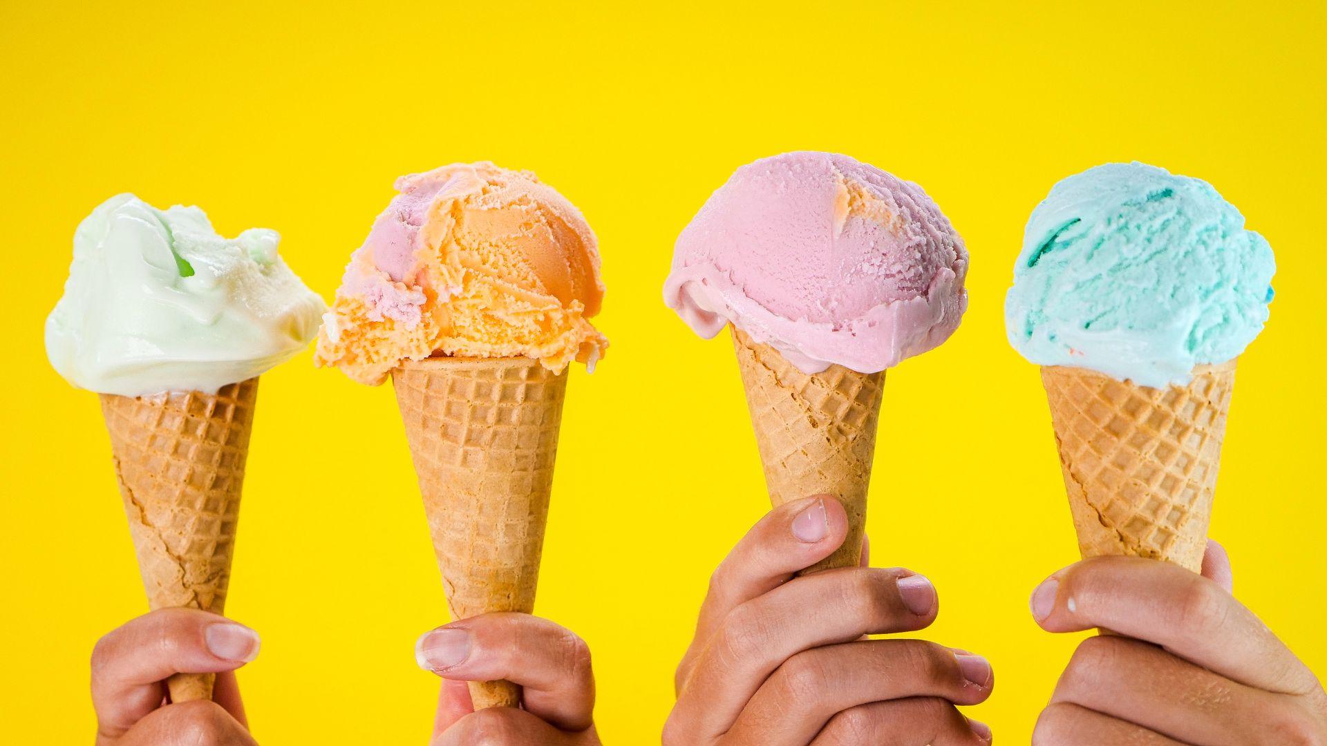 /api/file/public/258639/10337