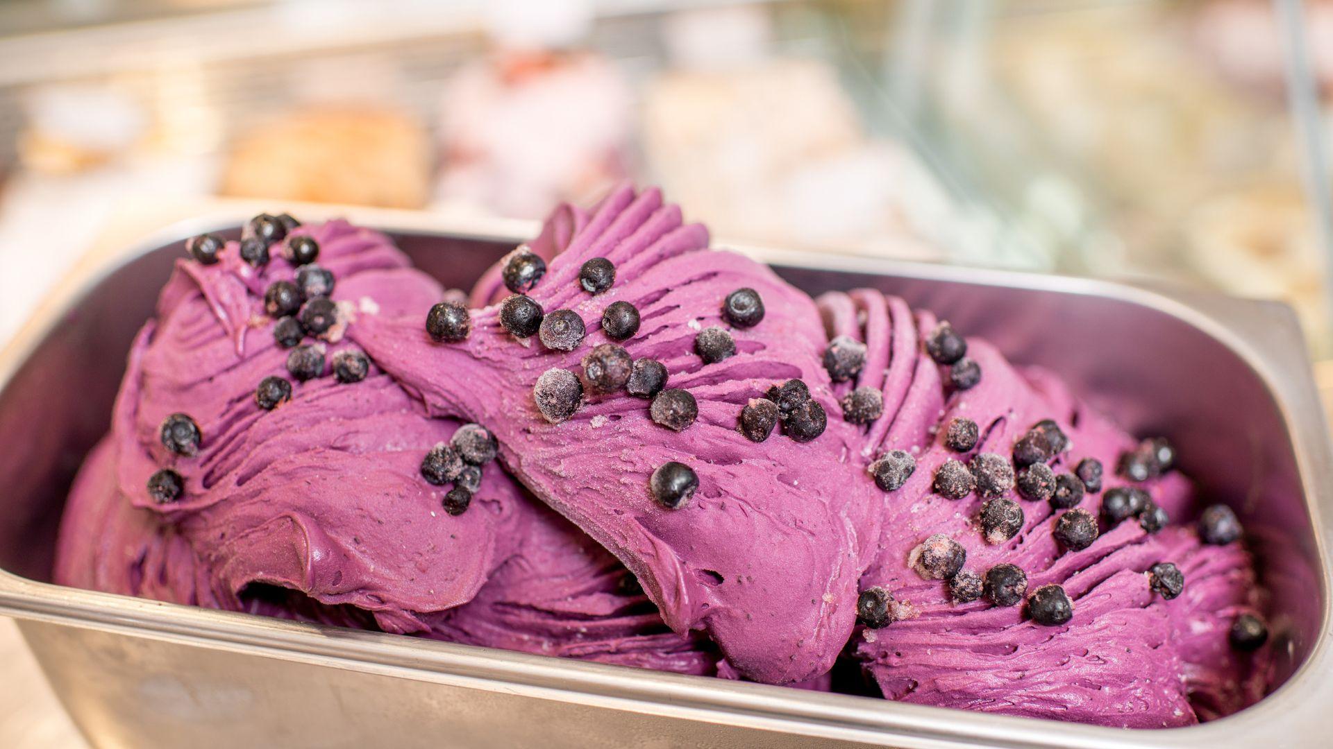 /api/file/public/258681/10377