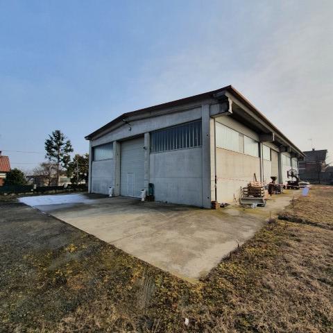 /api/file/public/259419/20753