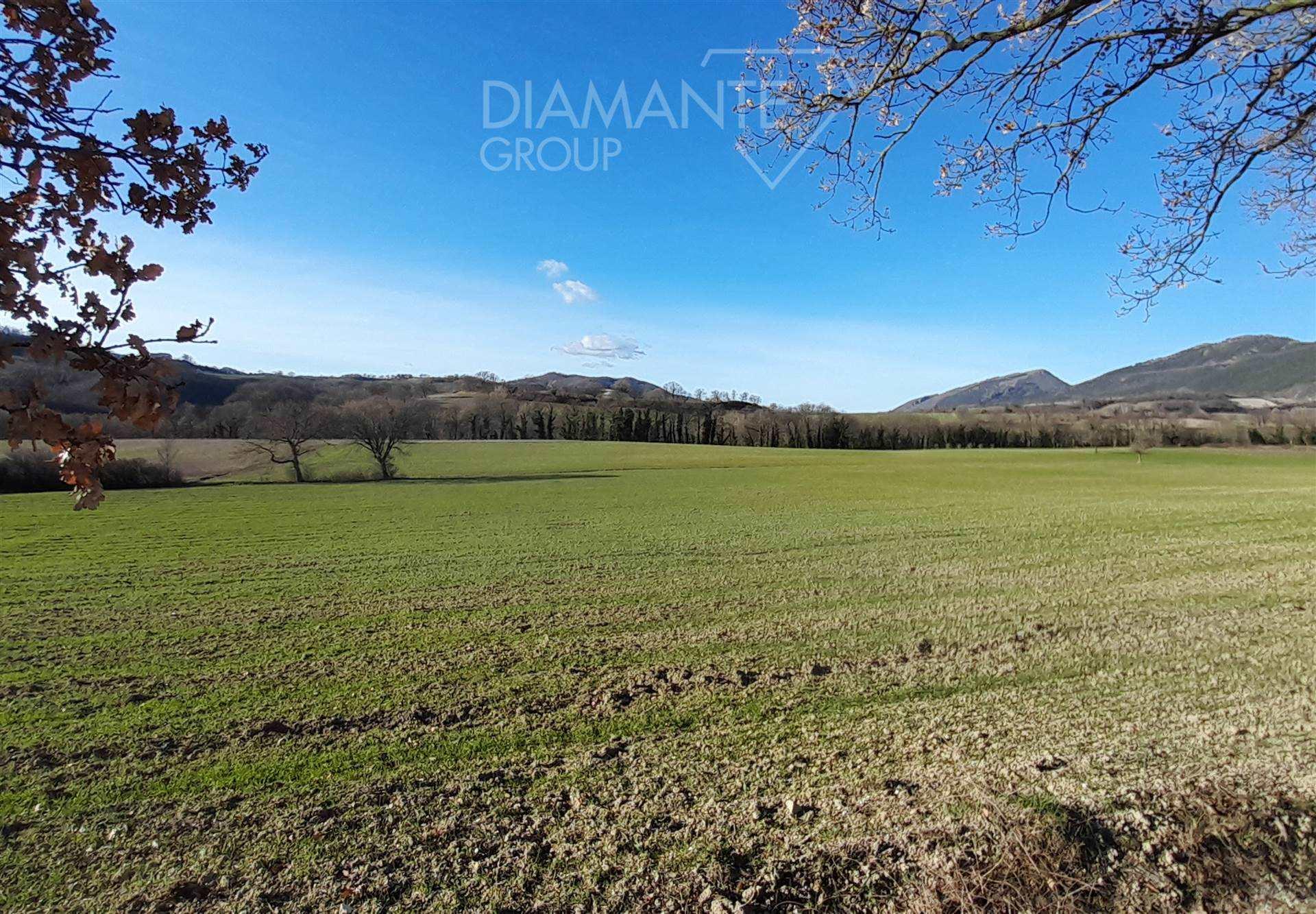 /api/file/public/259446/11416