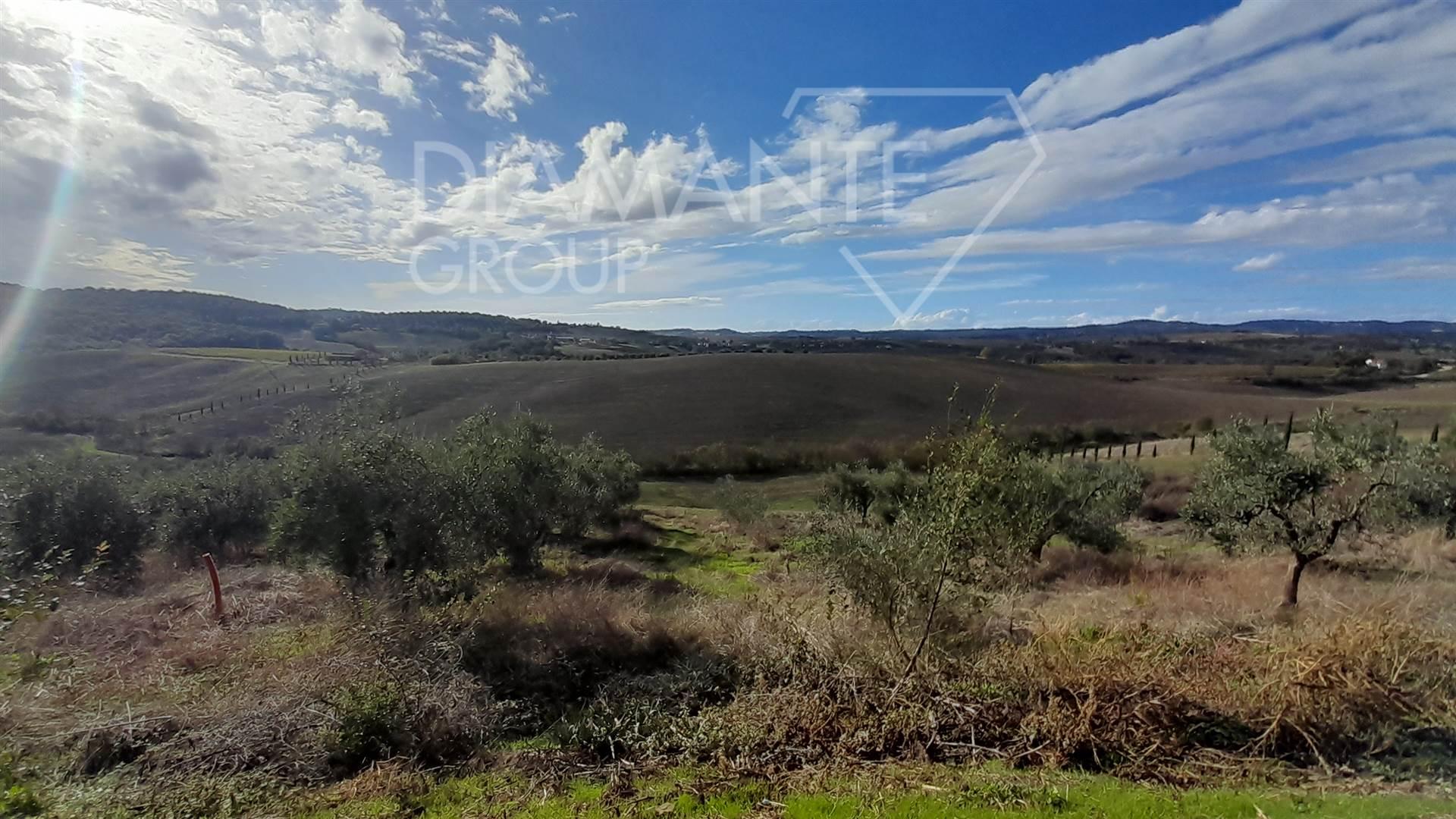 /api/file/public/259450/11423