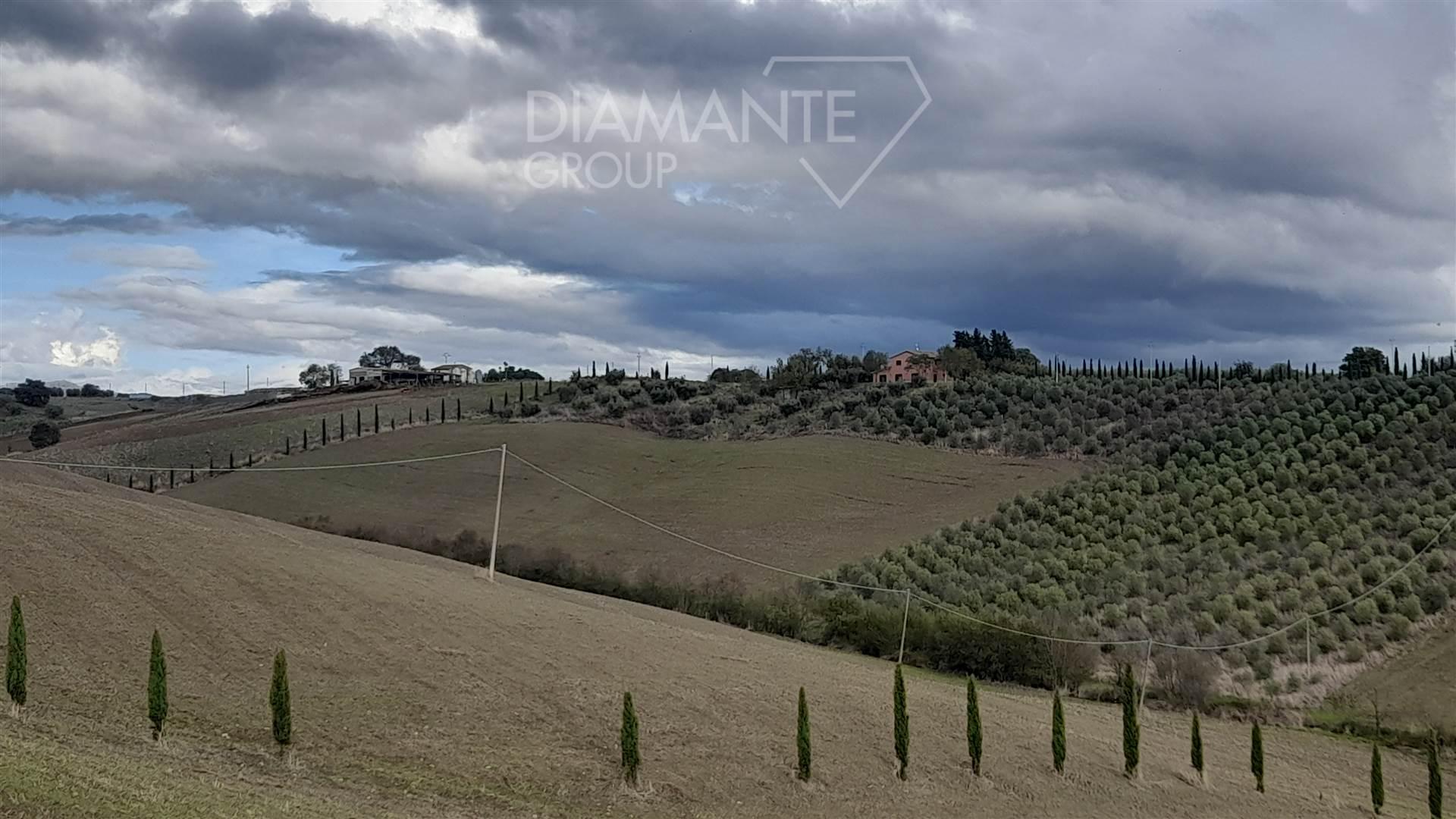 /api/file/public/259450/11424