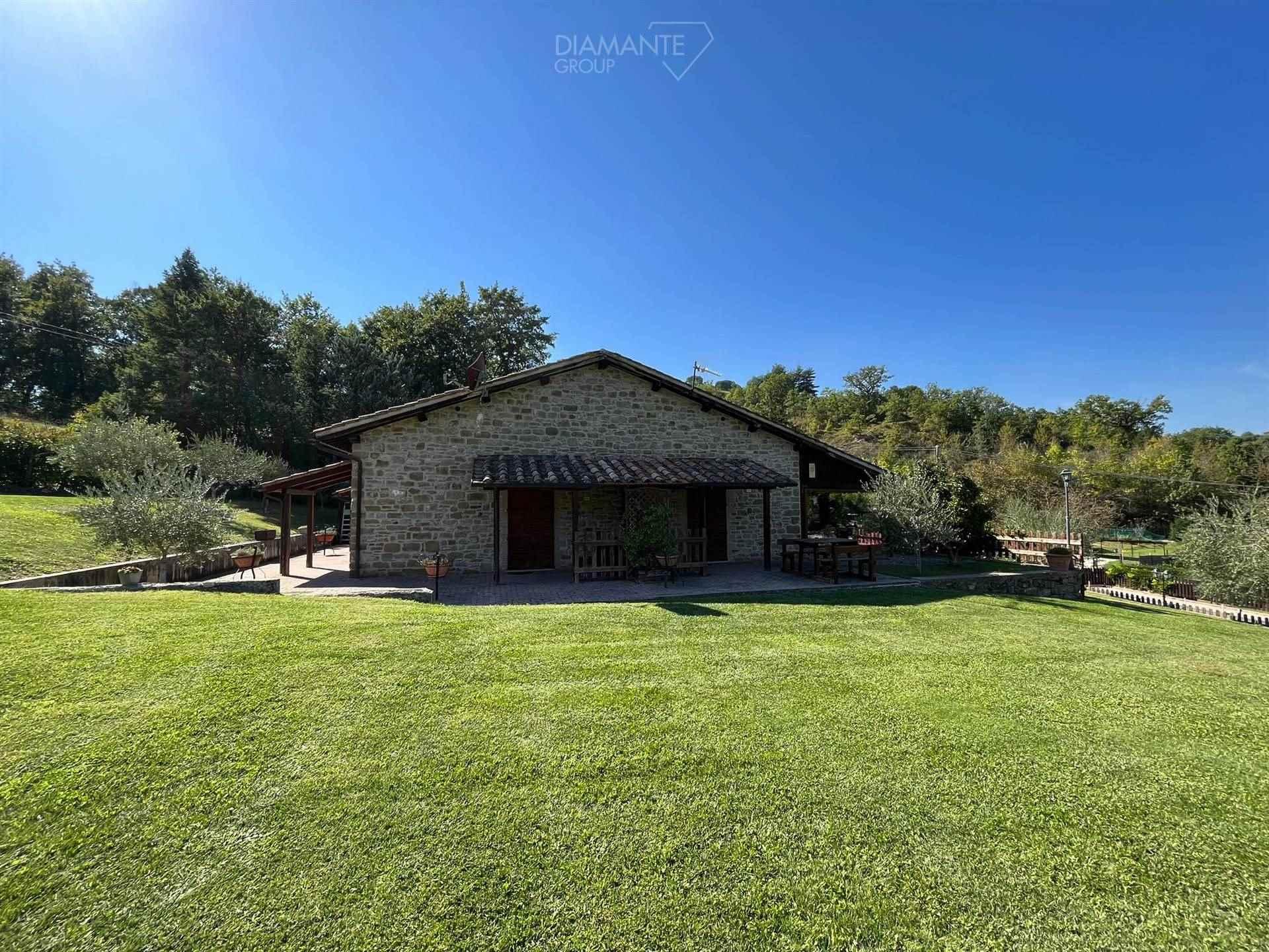 /api/file/public/259452/11428