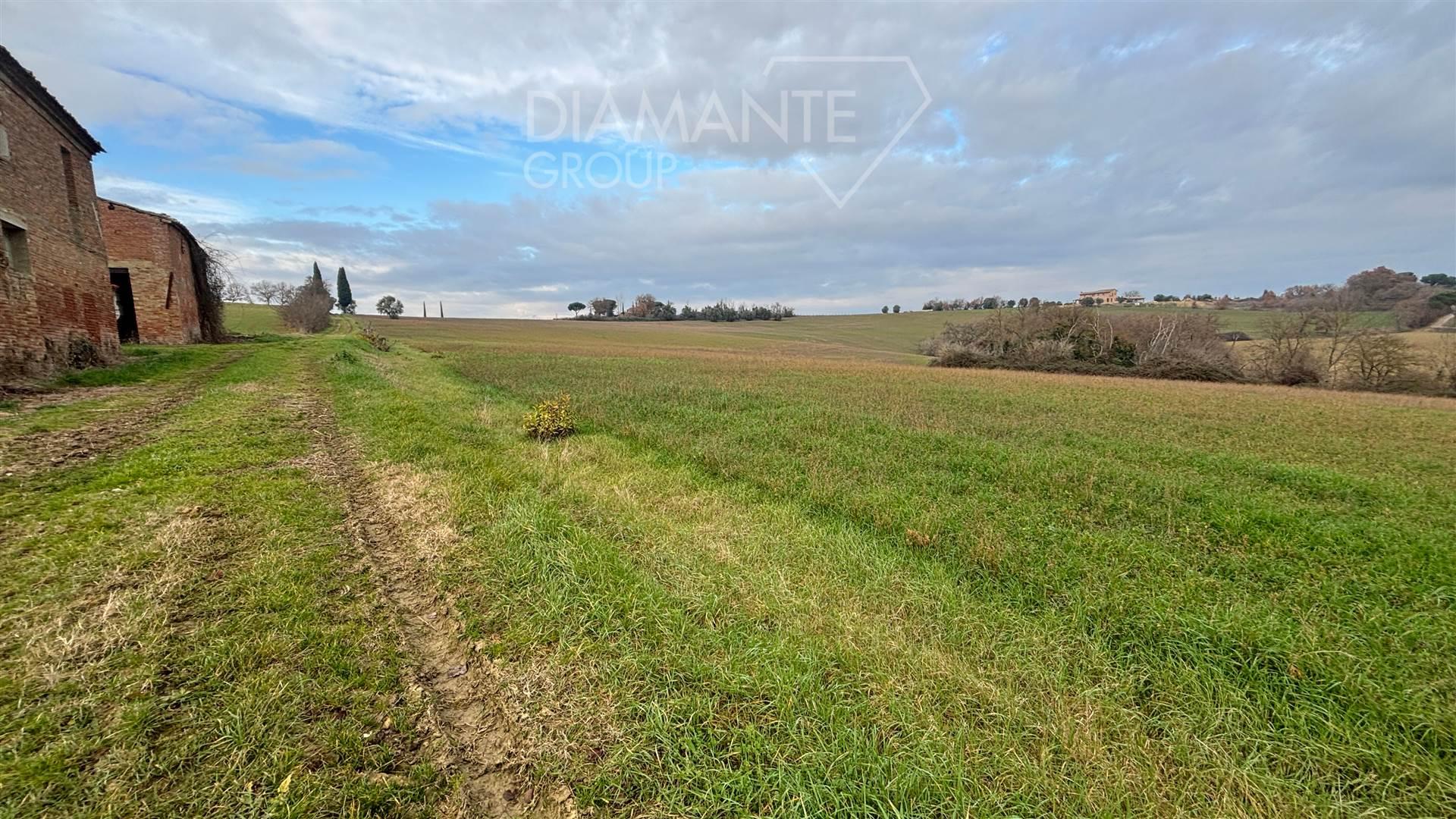 /api/file/public/259453/11430