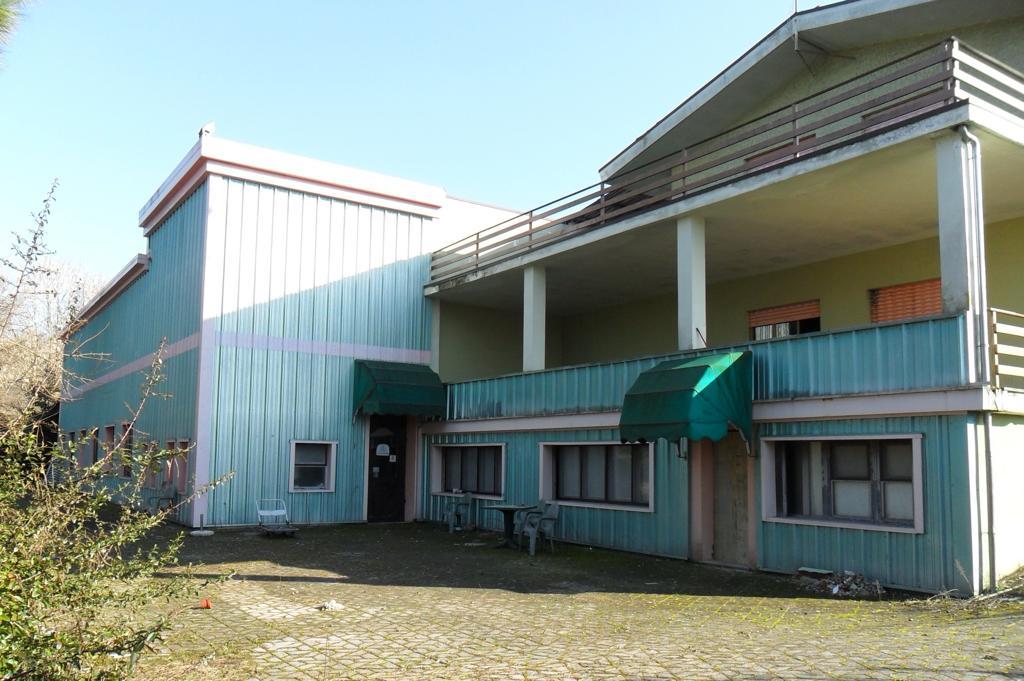 /api/file/public/259470/11498