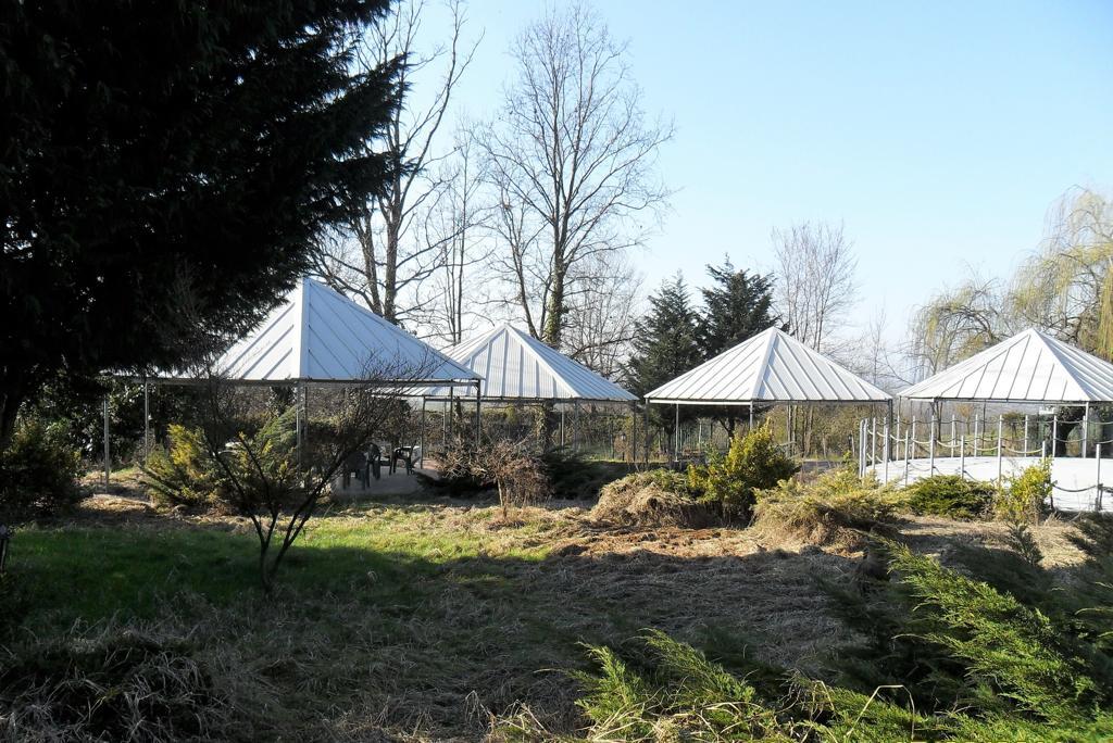 /api/file/public/259470/11499