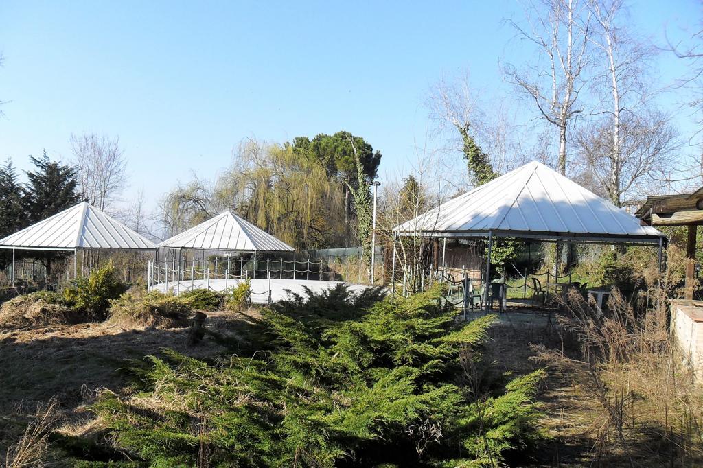 /api/file/public/259470/11500