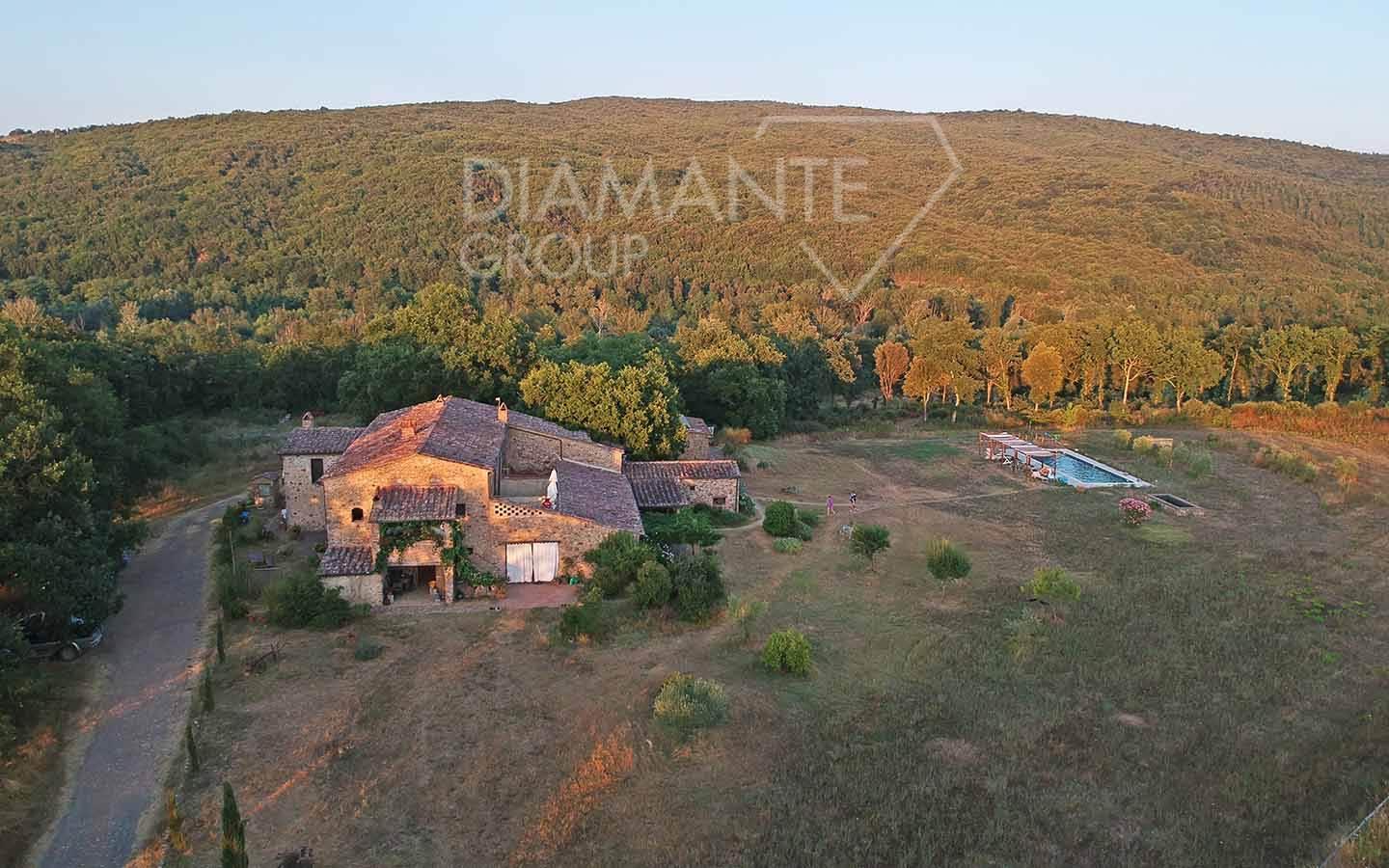 /api/file/public/259641/11917