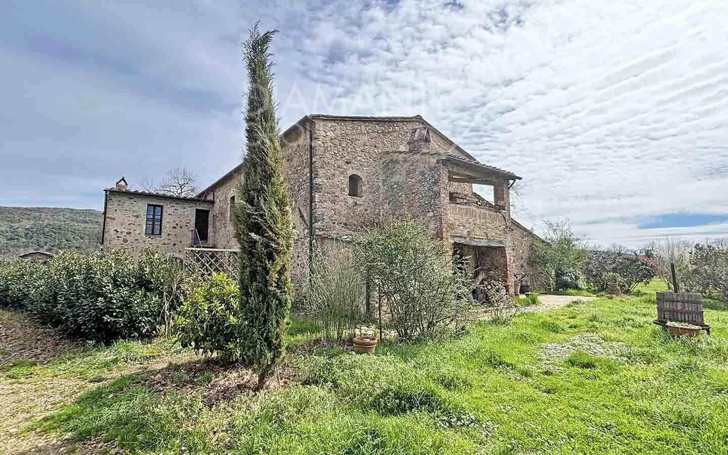 /api/file/public/259641/11918