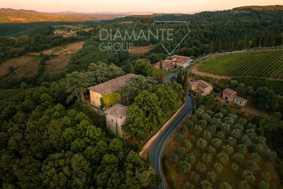 /api/file/public/259728/12181