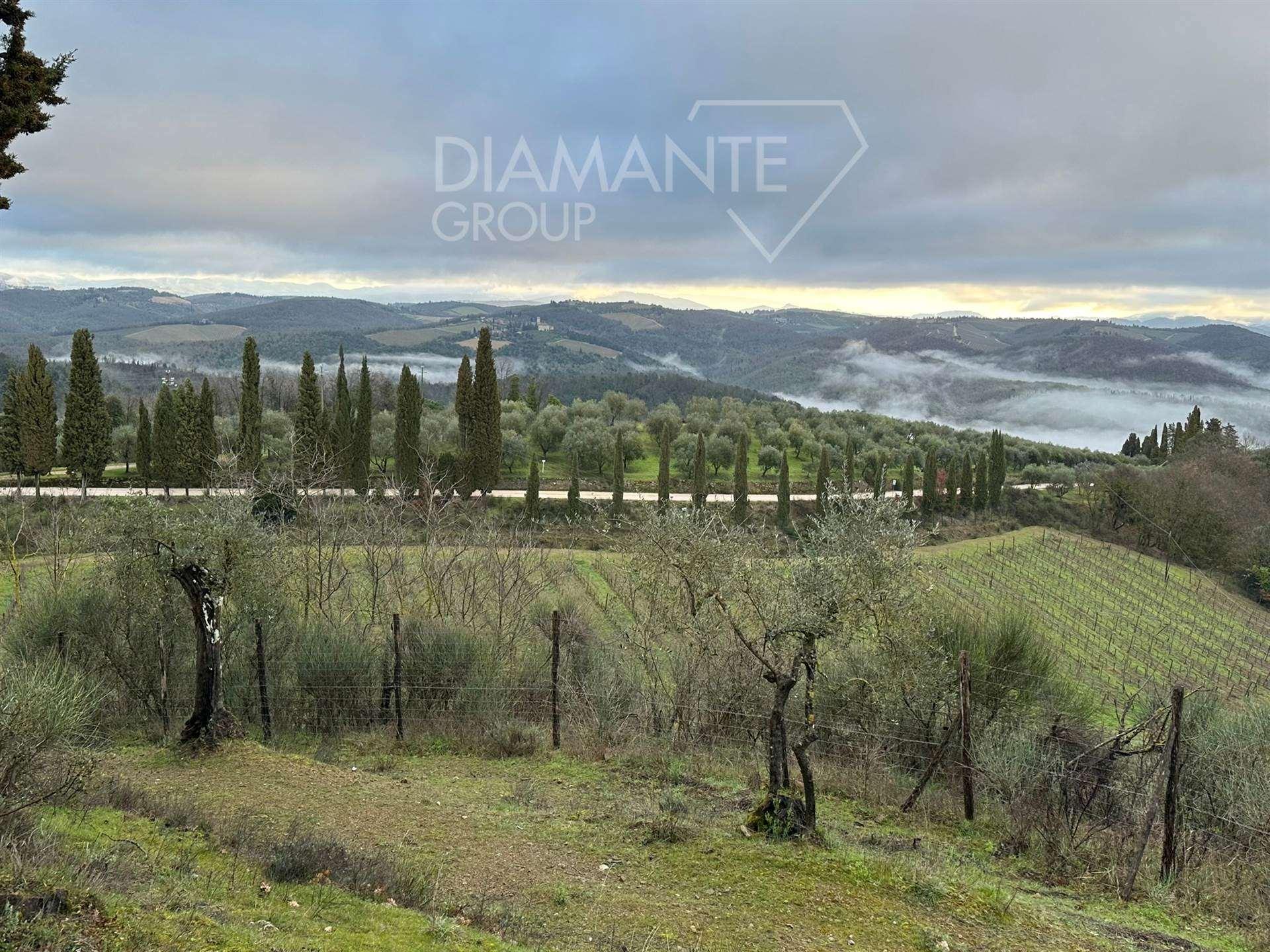 /api/file/public/259728/12183