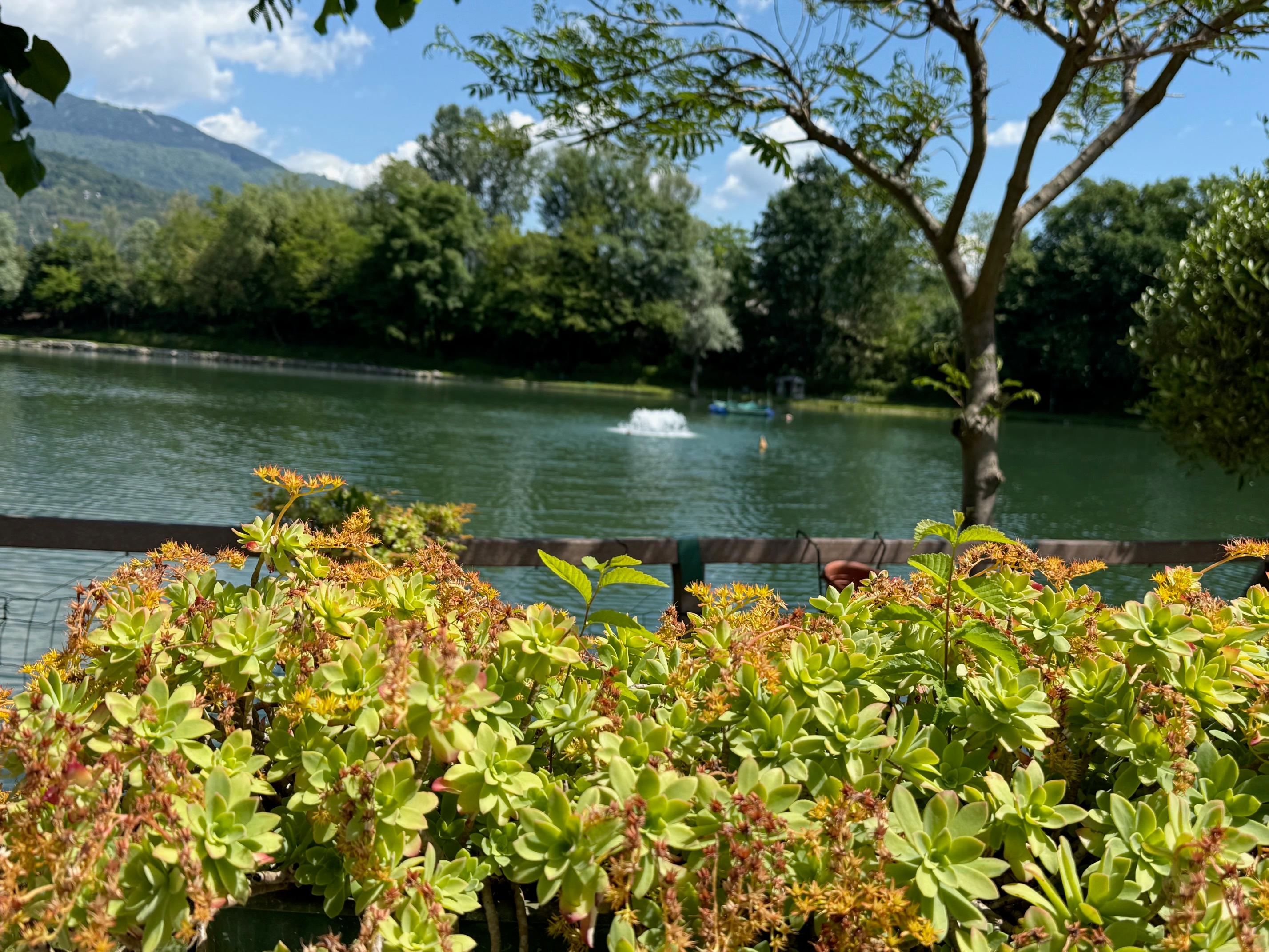 /api/file/public/259832/23456