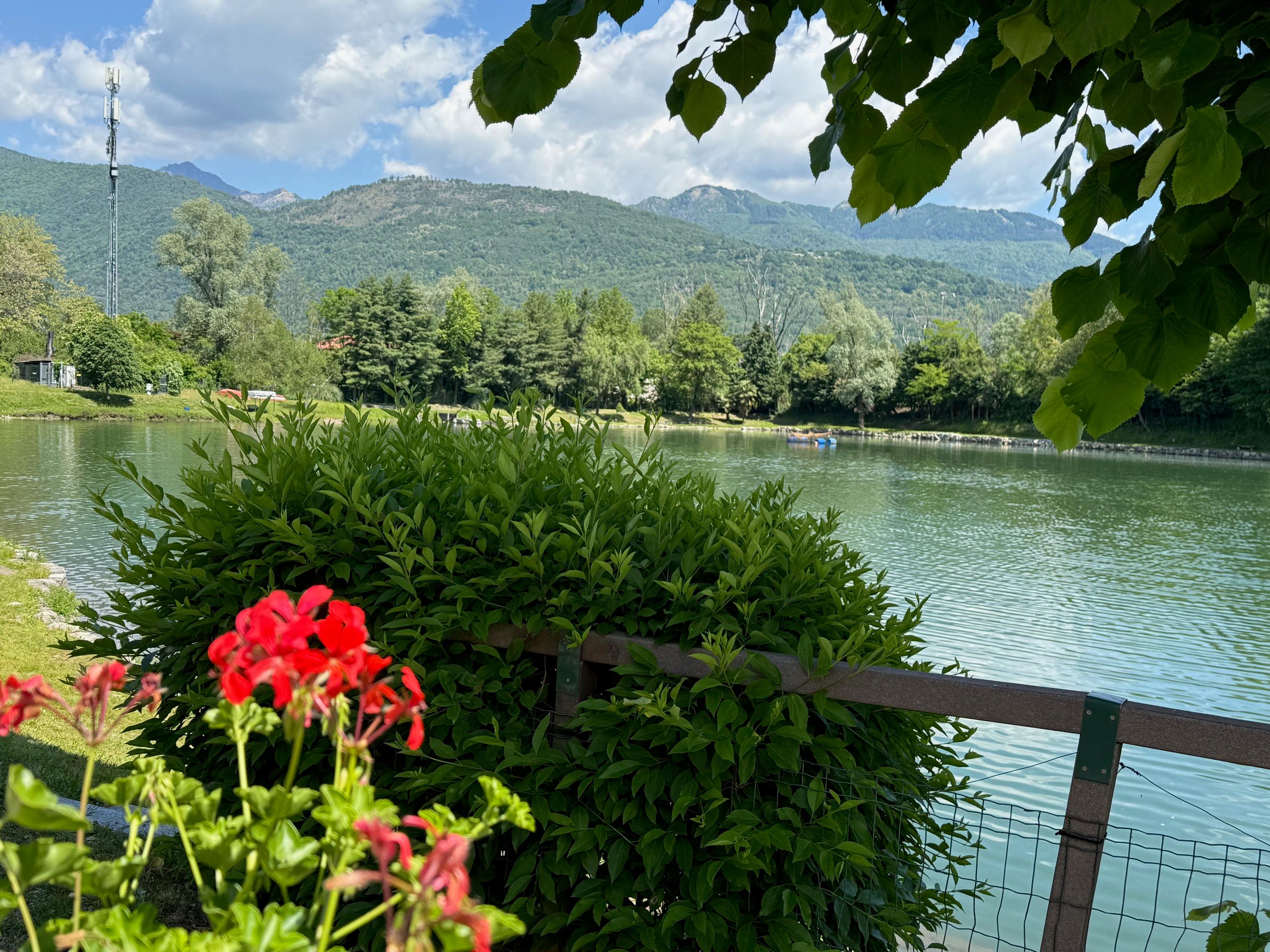 /api/file/public/259832/23457