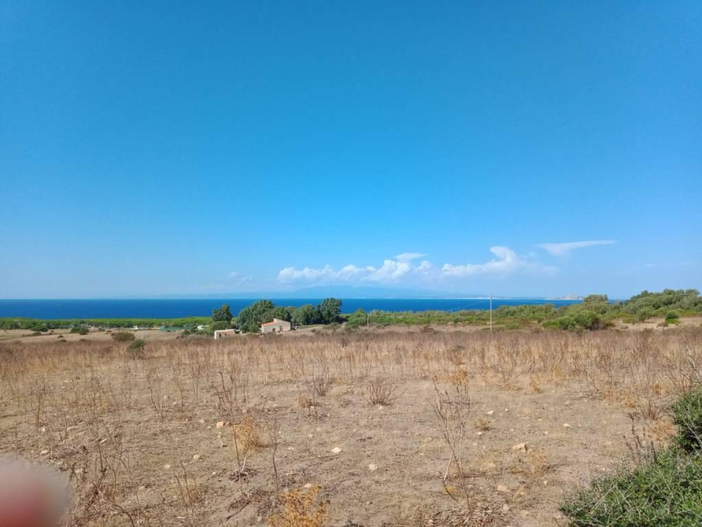 /api/file/public/259880/13067