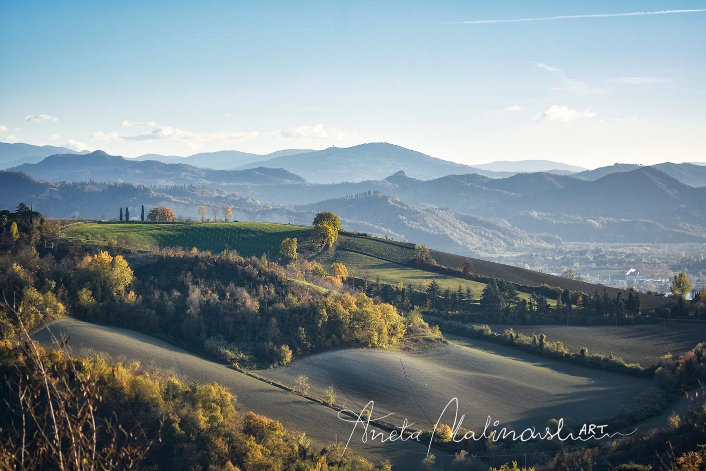 /api/file/public/259937/13592