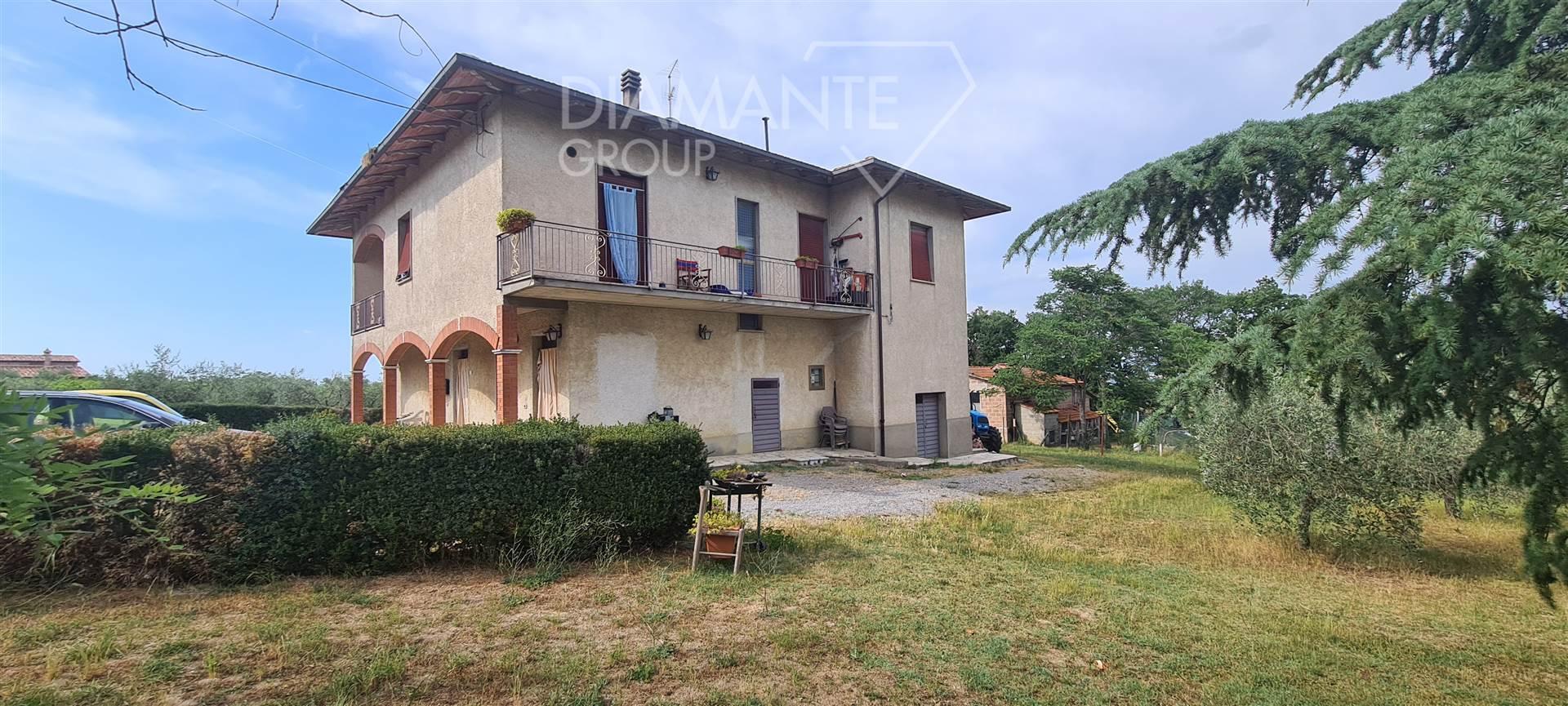 /api/file/public/259969/13771