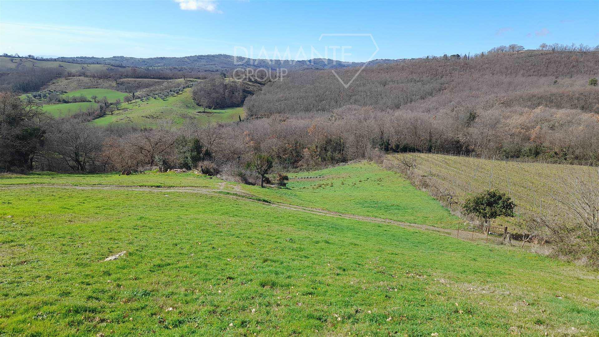 /api/file/public/259970/13774