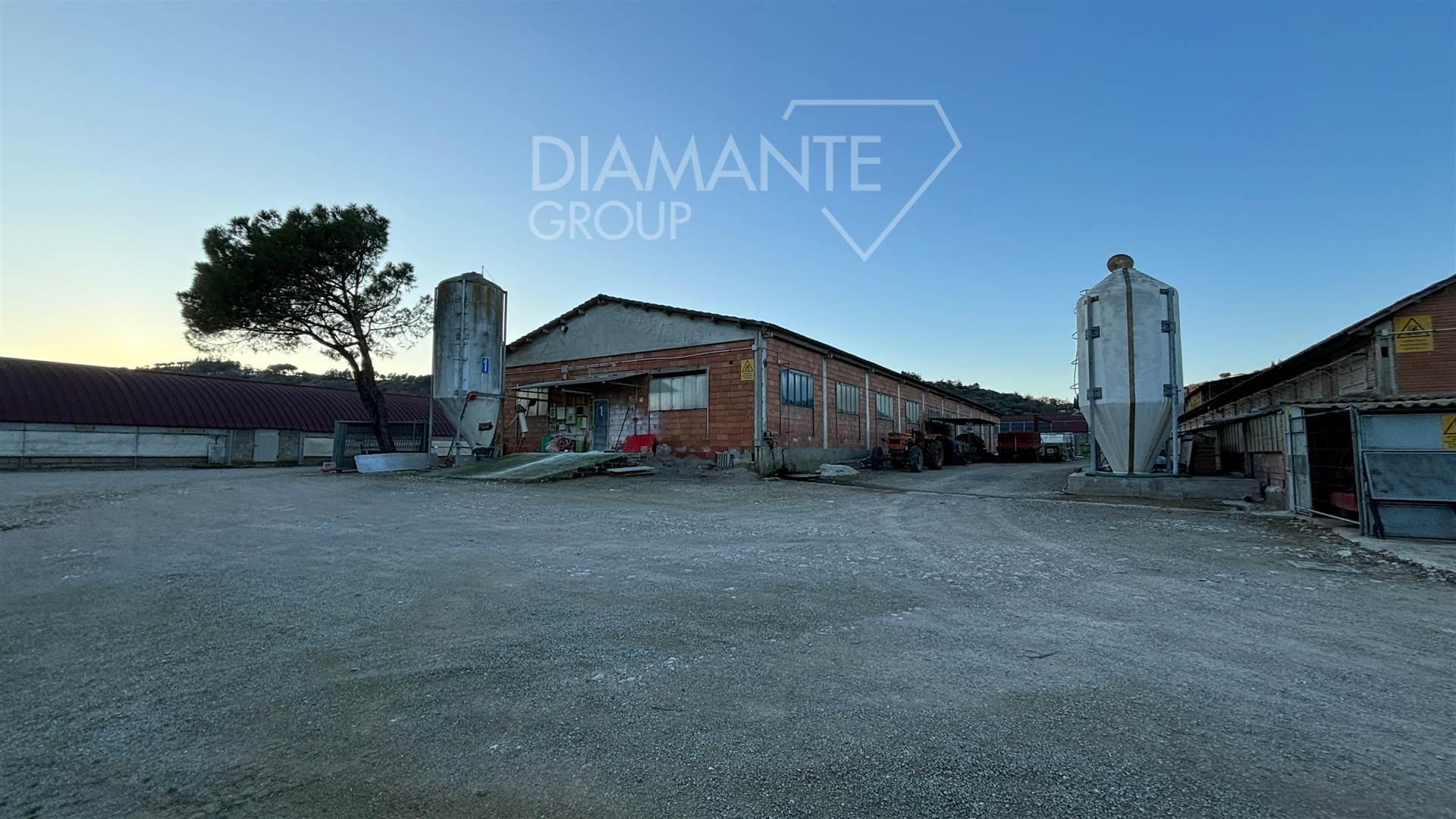 /api/file/public/259971/13775