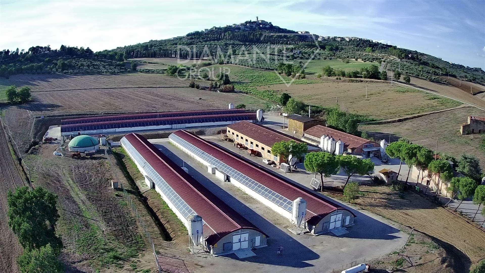 /api/file/public/259971/13776