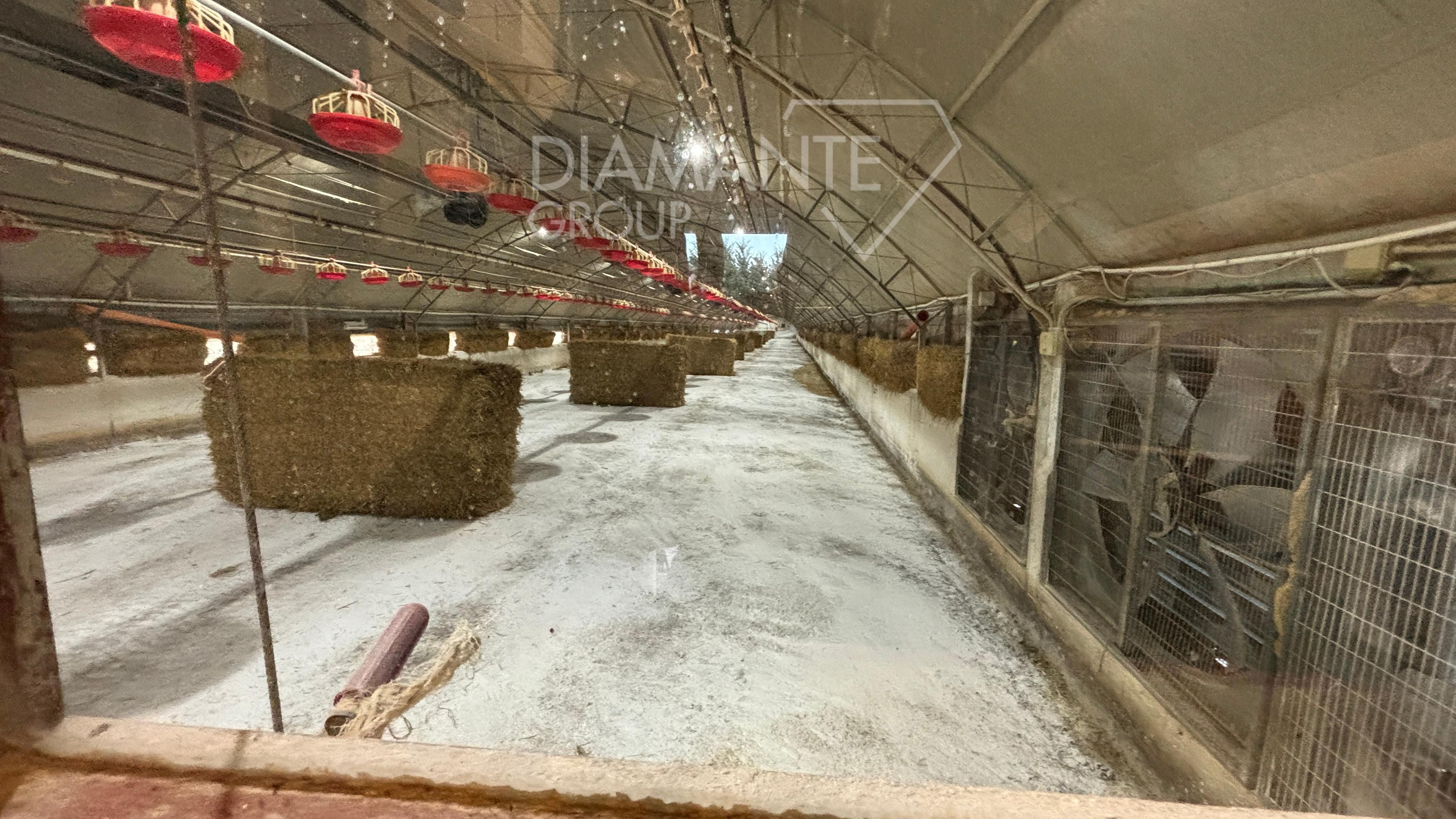 /api/file/public/259971/28904