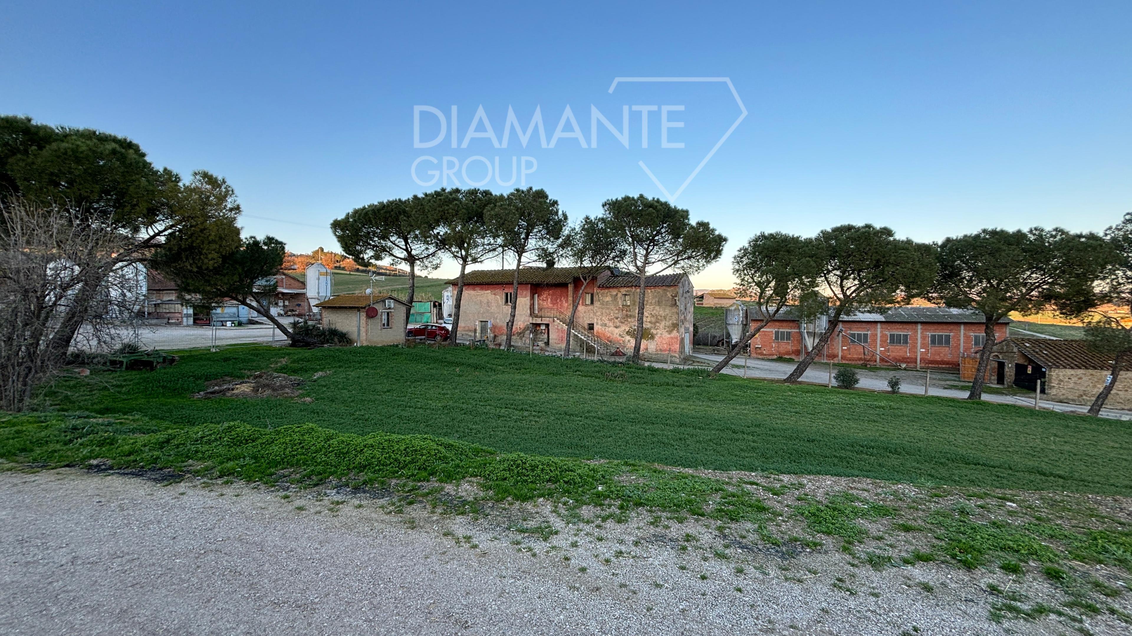 /api/file/public/259971/28905