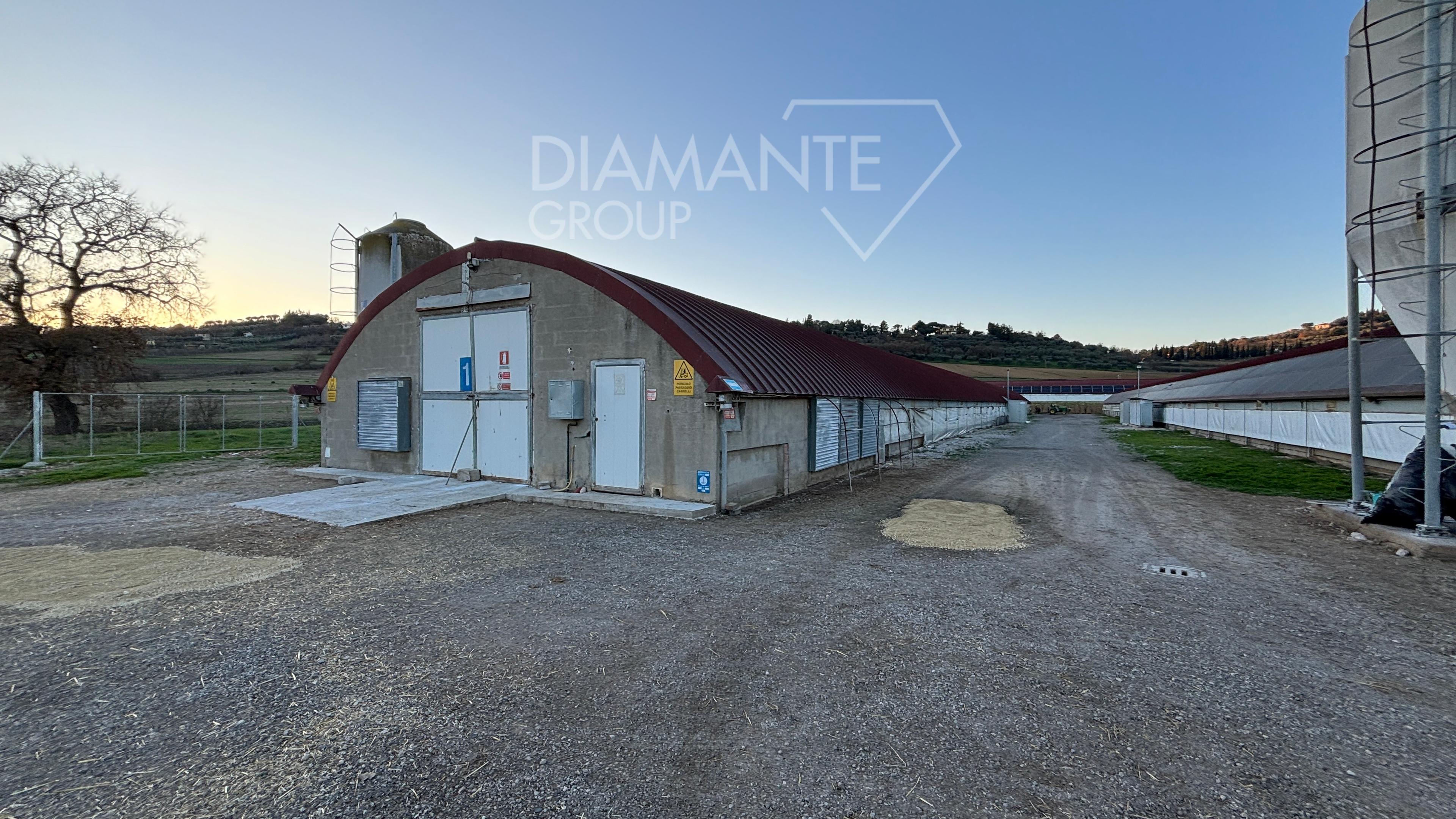 /api/file/public/259971/28906