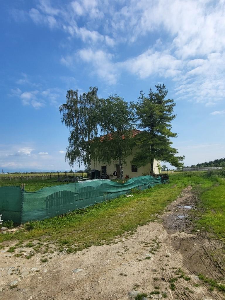 /api/file/public/260016/13949