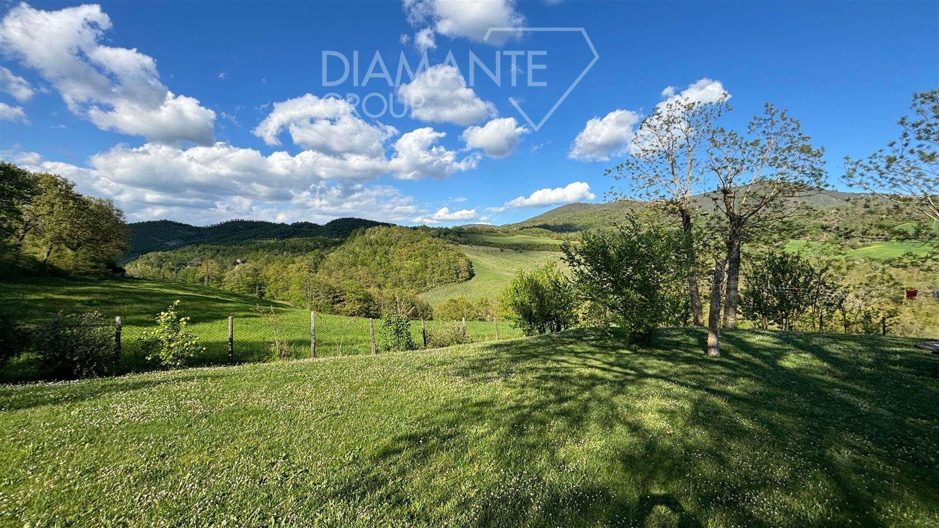 /api/file/public/260018/13952