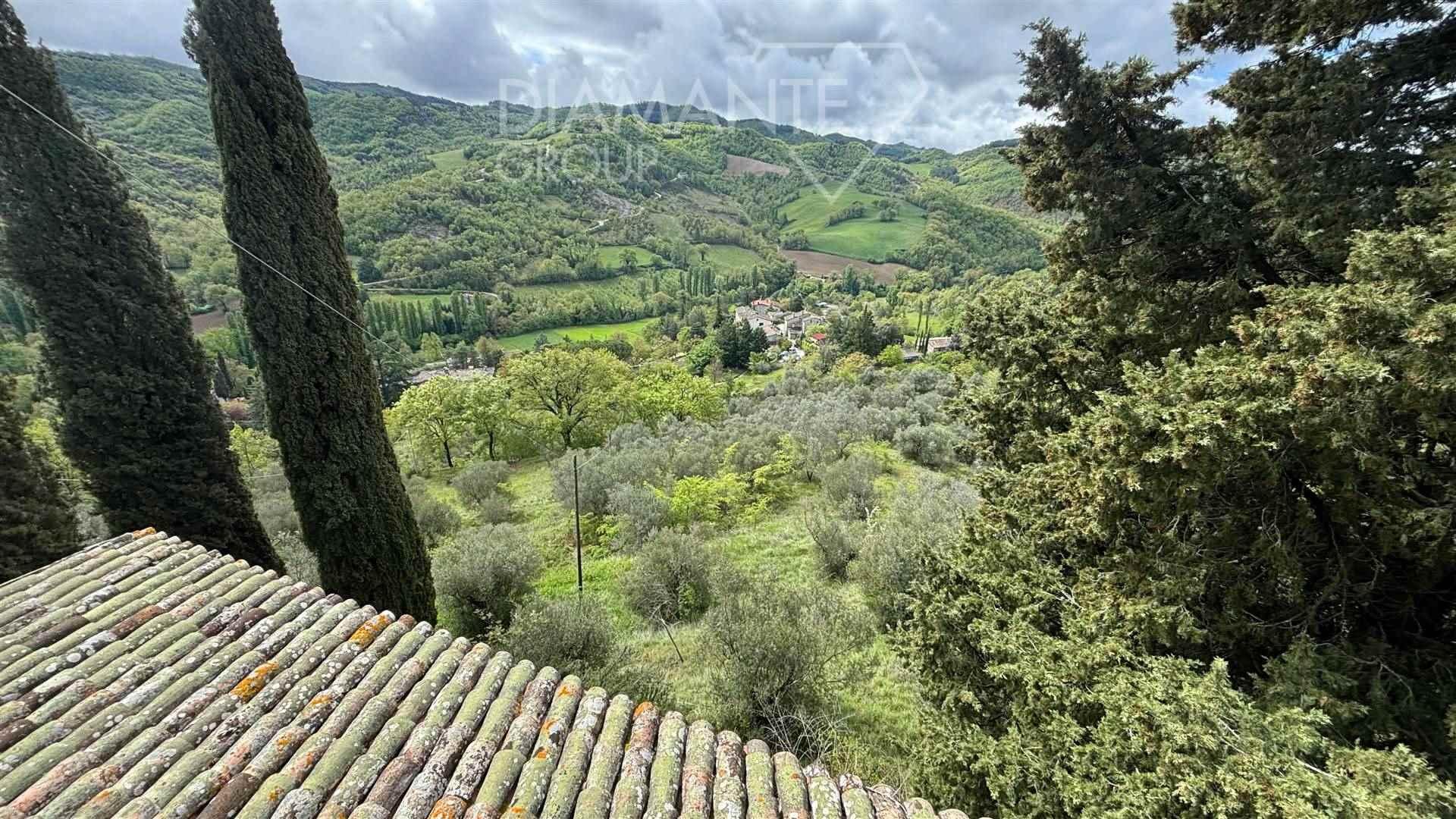 /api/file/public/260175/14419