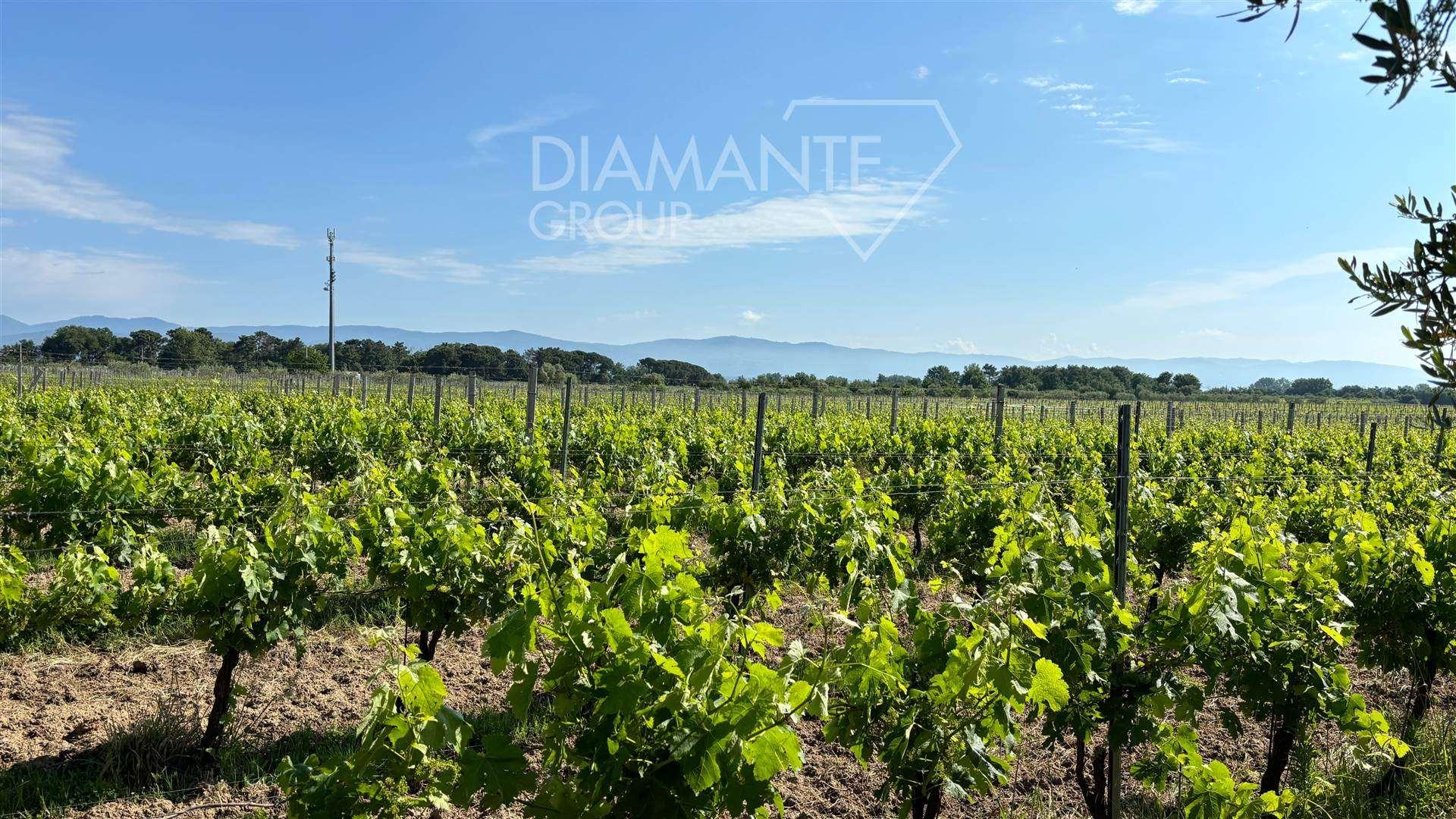 /api/file/public/260177/14422