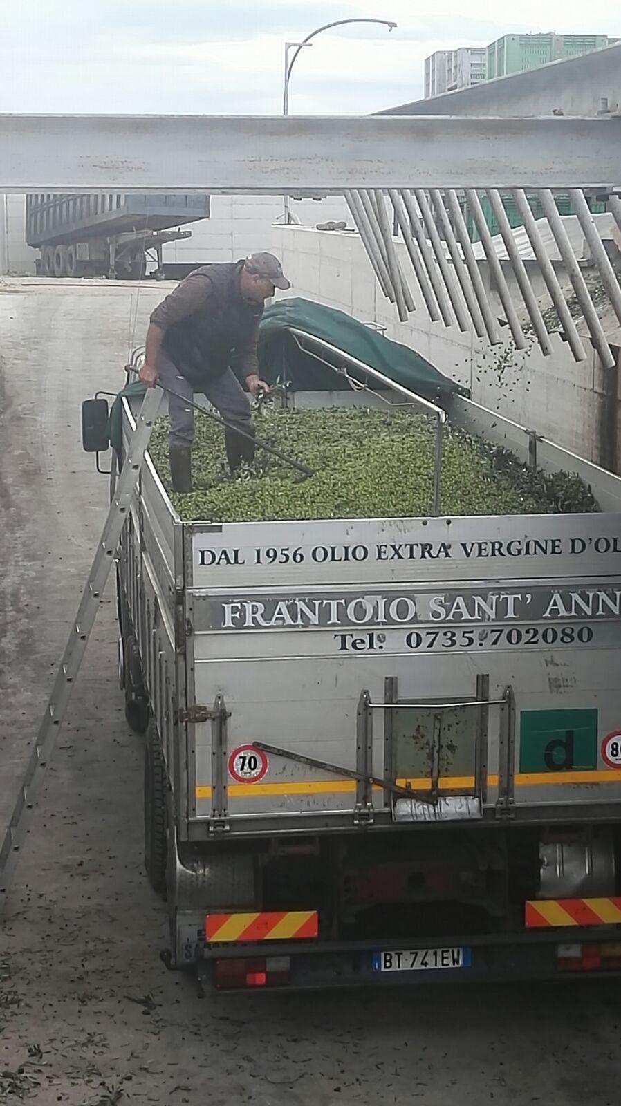 /api/file/public/260199/14452