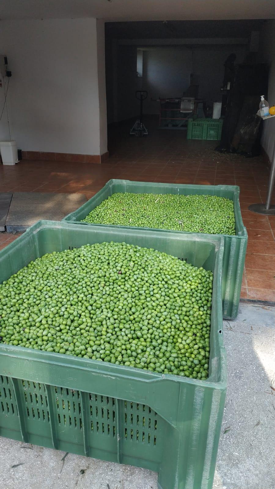 /api/file/public/260199/14453