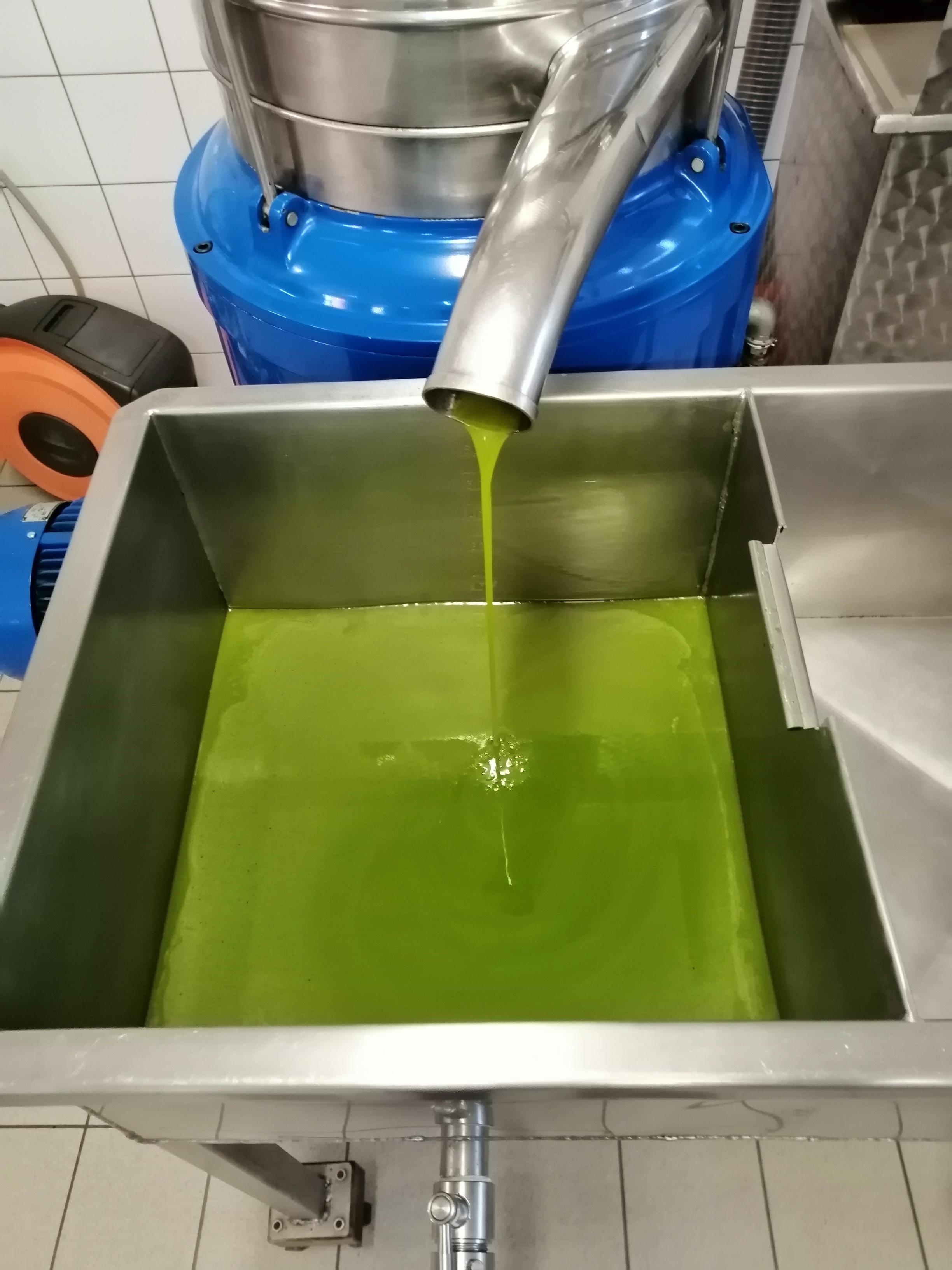 /api/file/public/260199/14460