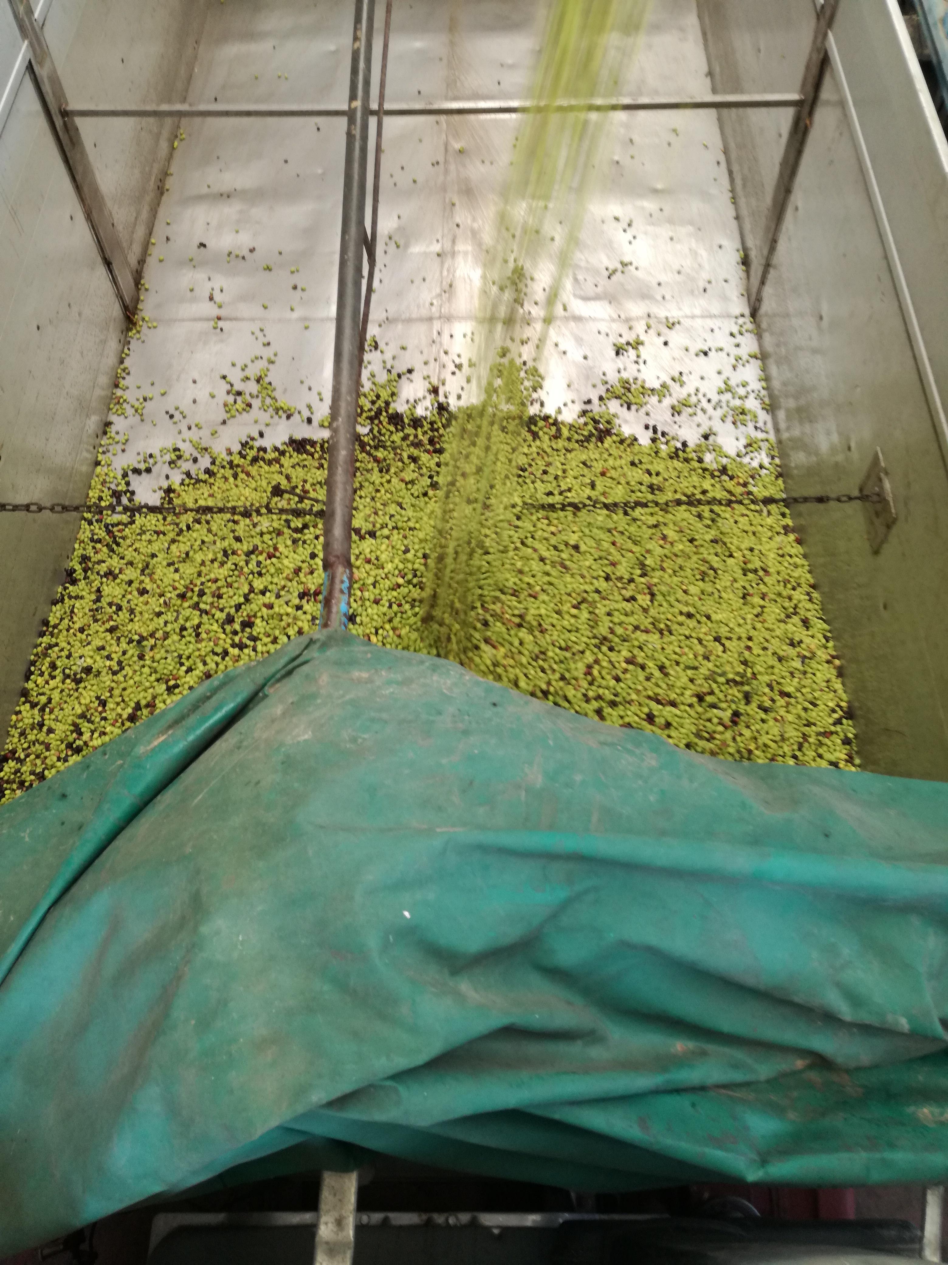 /api/file/public/260199/14475