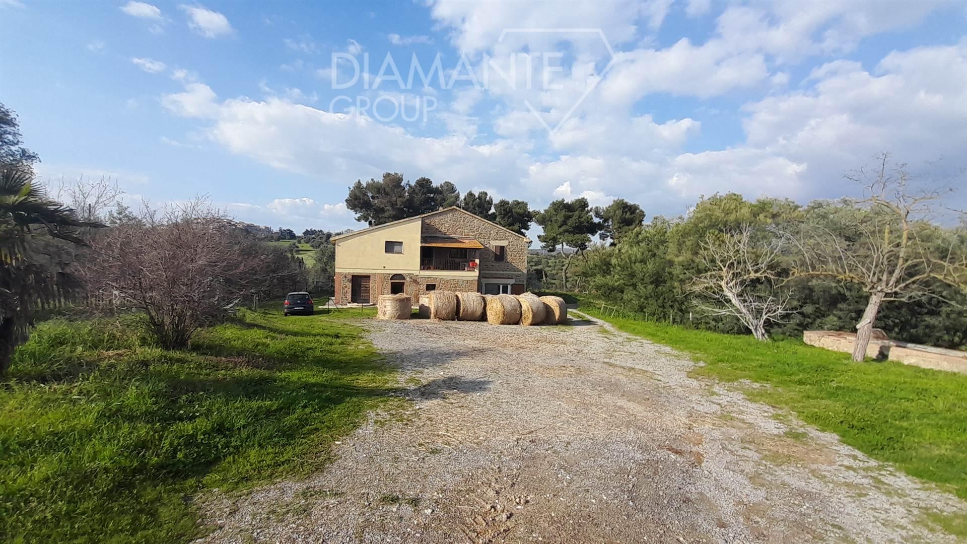 /api/file/public/260220/14544