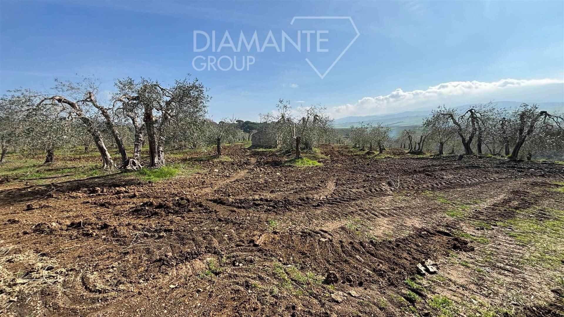 /api/file/public/260272/14676