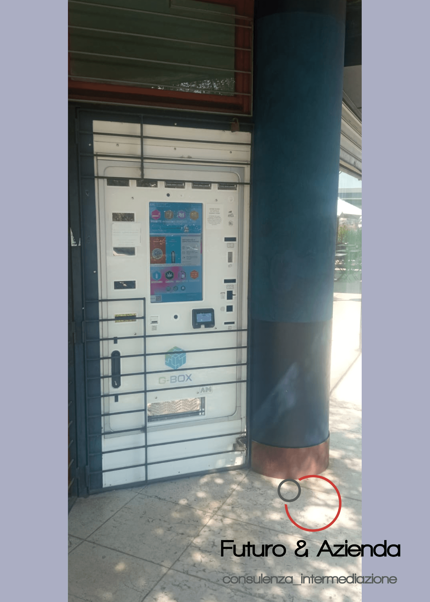 /api/file/public/260313/14817