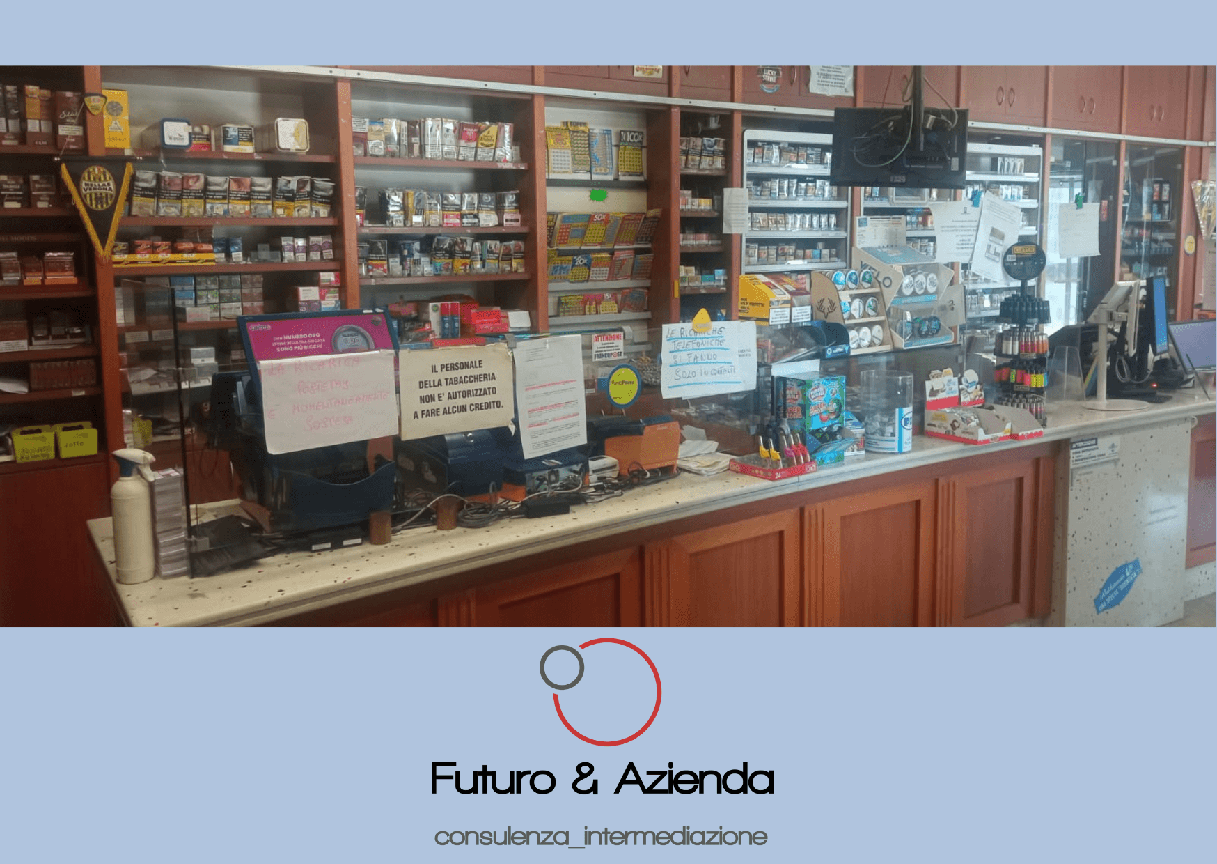 /api/file/public/260313/14819