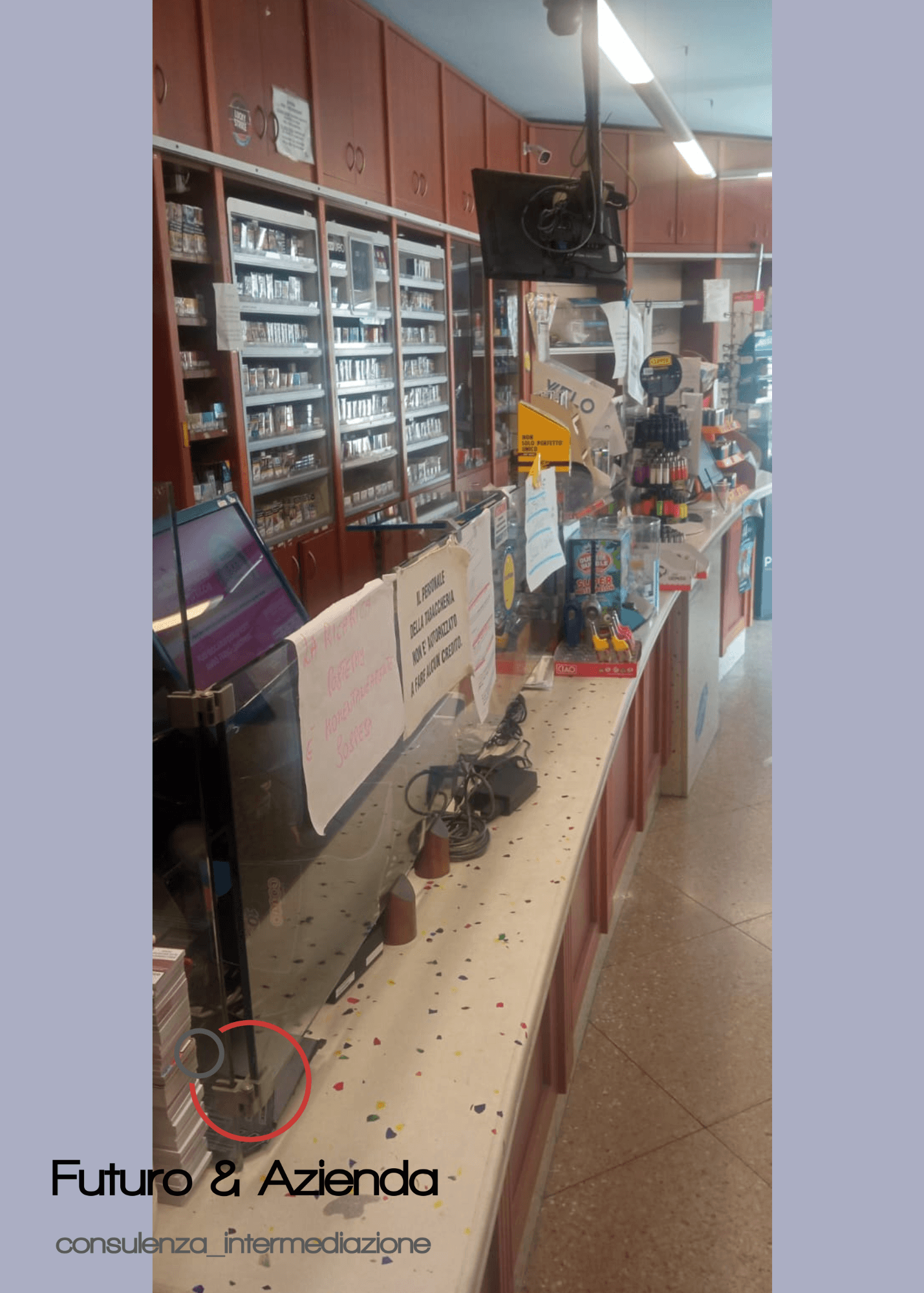 /api/file/public/260313/14821