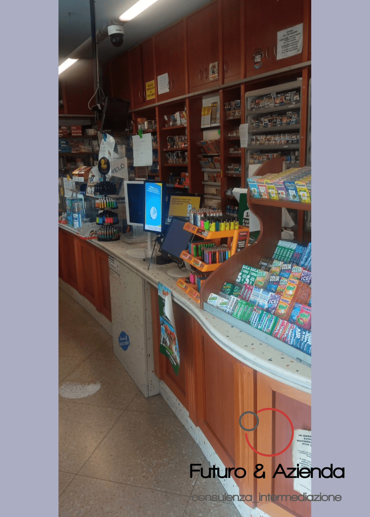 /api/file/public/260313/14822