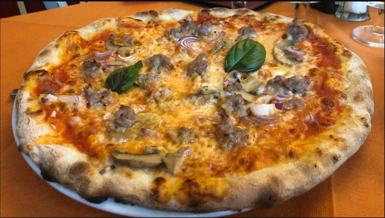 /api/file/public/260553/16437