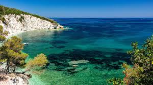 /api/file/public/260677/15300