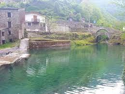 /api/file/public/260681/15320